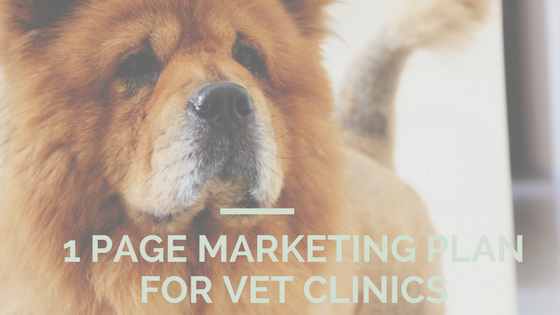1 page marketing plan vet clinics 01