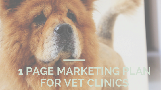 1 Page Vet clinic marketing plan